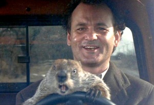 groundhog day driving